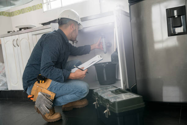 Best Local Plumber Services  in Medulla, FL